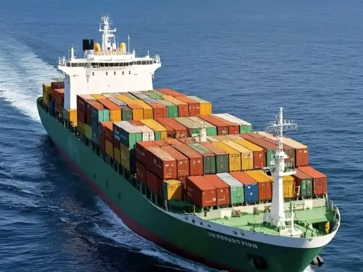 Sea export route for container-level bulk cat litter supply